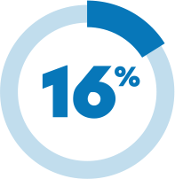 16 Percent
